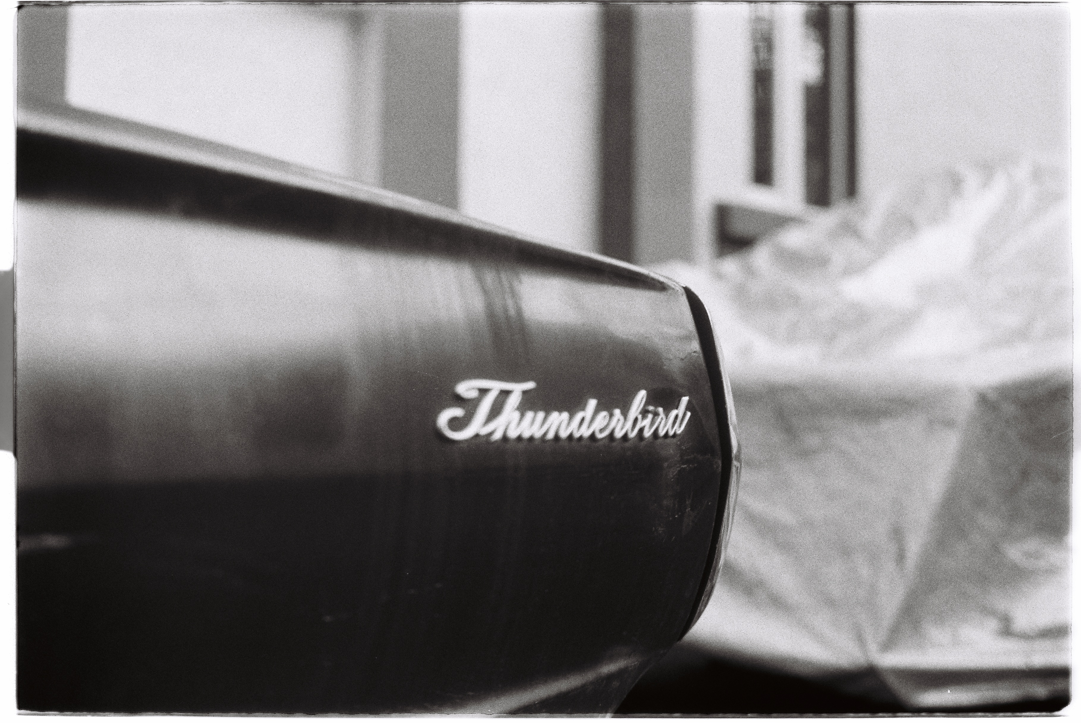 Car logo, thunderbird